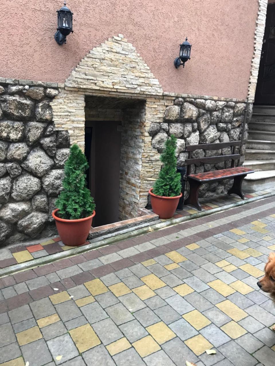 Guest House Zhanna Berehove  Exterior photo